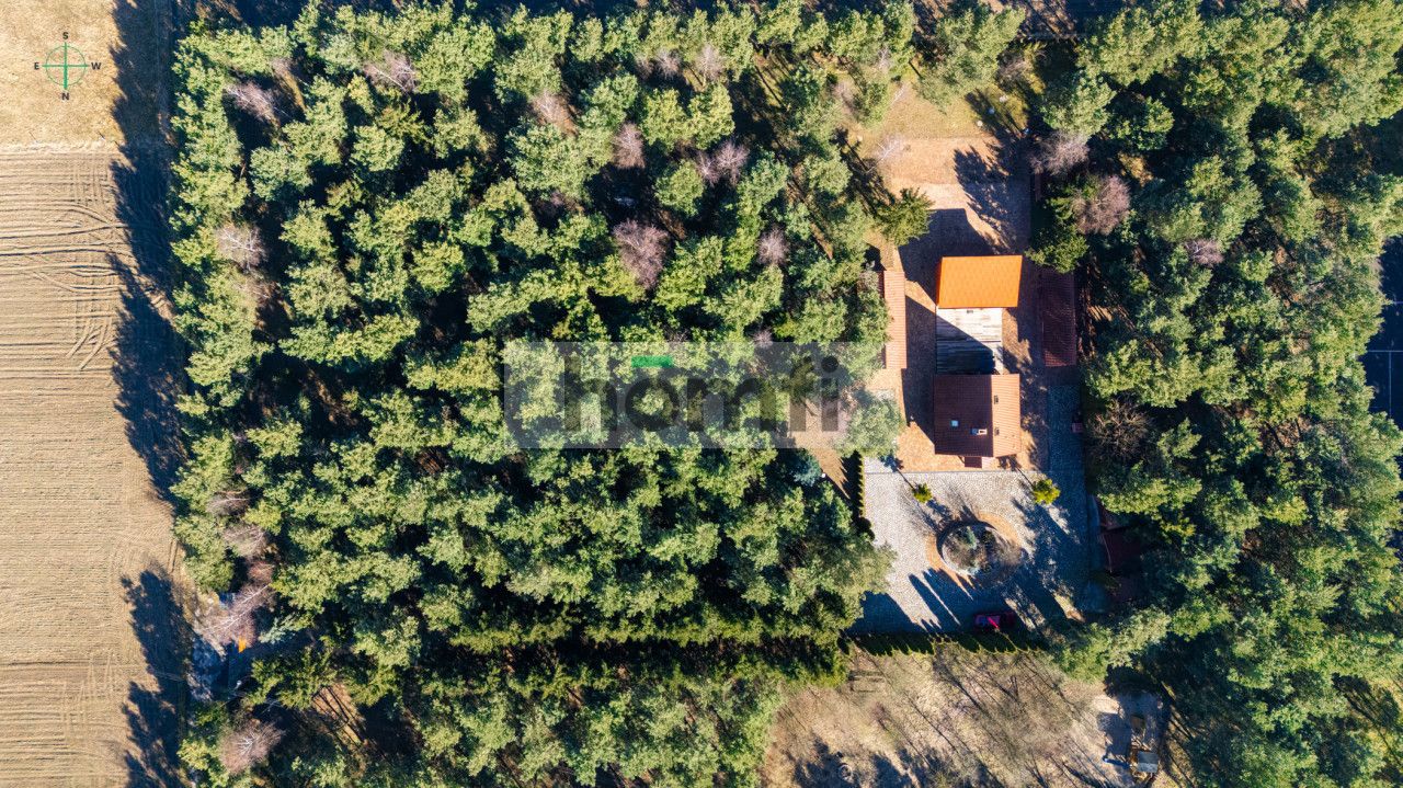 Houses in the quiet forest 50 km from Wrocław - House - Sale - Legnicki, Prochowice / Kawice