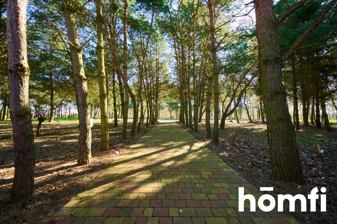 Houses in the quiet forest 50 km from Wrocław - Дім - Продаж - Legnicki, Prochowice / Kawice