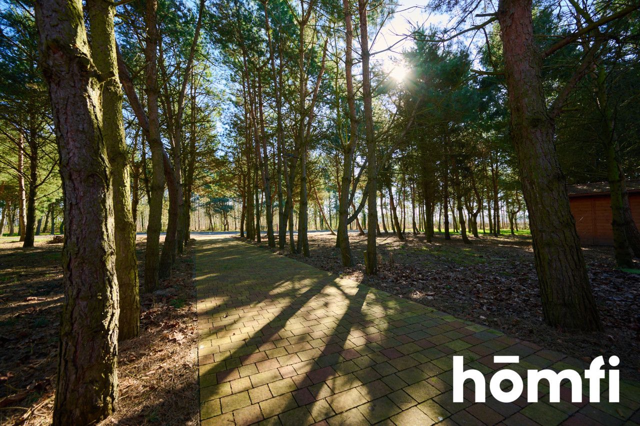 Houses in the quiet forest 50 km from Wrocław - Дім - Продаж - Legnicki, Prochowice / Kawice