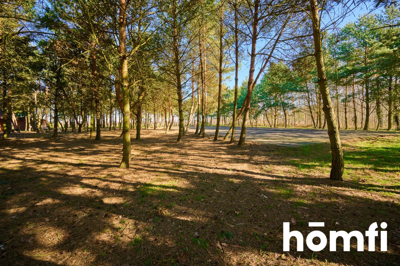 Houses in the quiet forest 50 km from Wrocław - Дім - Продаж - Legnicki, Prochowice / Kawice