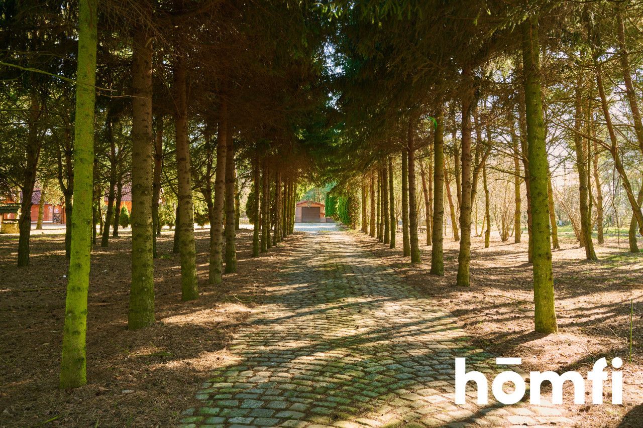 Houses in the quiet forest 50 km from Wrocław - Дім - Продаж - Legnicki, Prochowice / Kawice