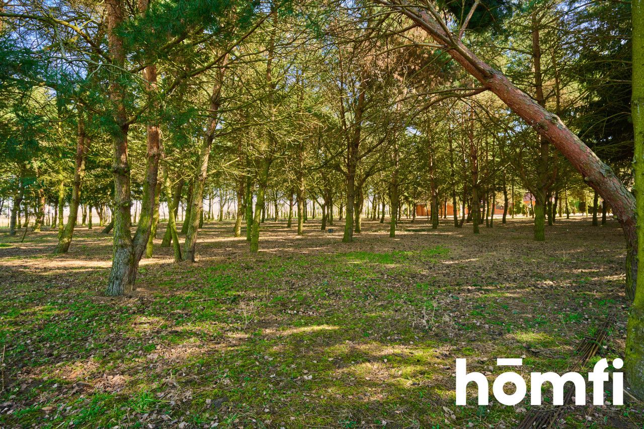 Houses in the quiet forest 50 km from Wrocław - Дім - Продаж - Legnicki, Prochowice / Kawice