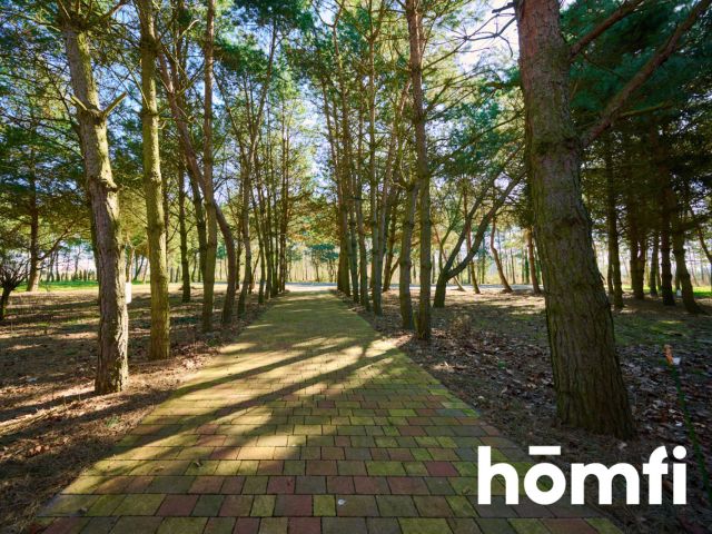 Houses in the quiet forest 50 km from Wrocław - Дім - Продаж - Legnicki, Prochowice / Kawice