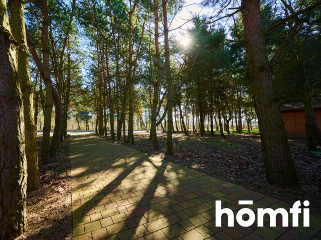 Houses in the quiet forest 50 km from Wrocław - Дім - Продаж - Legnicki, Prochowice / Kawice