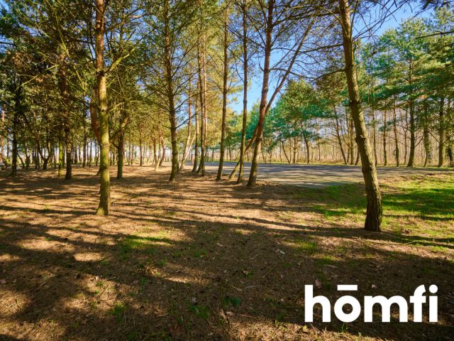 Houses in the quiet forest 50 km from Wrocław - Дім - Продаж - Legnicki, Prochowice / Kawice