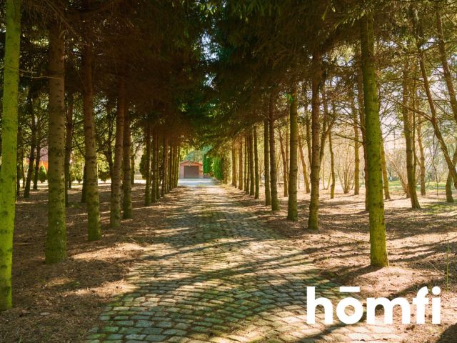 Houses in the quiet forest 50 km from Wrocław - Дім - Продаж - Legnicki, Prochowice / Kawice