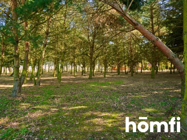 Houses in the quiet forest 50 km from Wrocław - Дім - Продаж - Legnicki, Prochowice / Kawice