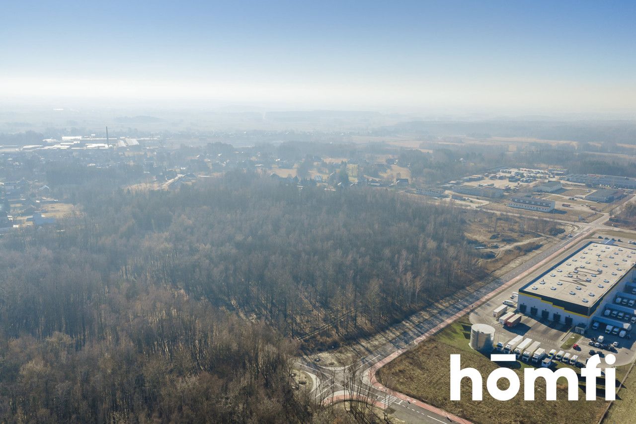 Offer for Sale – Land for Production and Logistics - Plot - Sale - Tarnobrzeski, Nowa Dęba / Chmielów