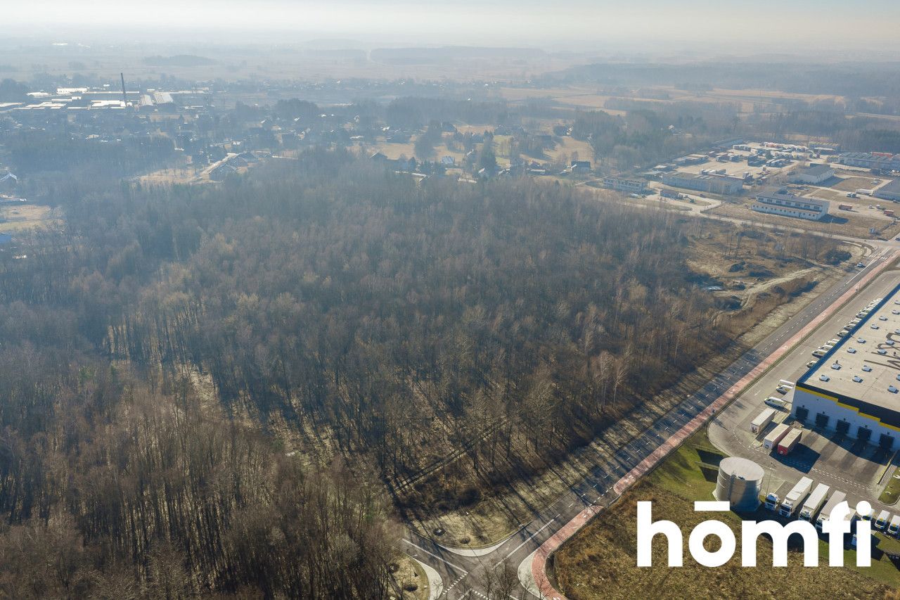 Offer for Sale – Land for Production and Logistics - Plot - Sale - Tarnobrzeski, Nowa Dęba / Chmielów
