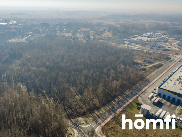 Oferta sprzedaży – teren pod produkcję i logistykę - Działka - Sprzedaż - Tarnobrzeski, Nowa Dęba / Chmielów