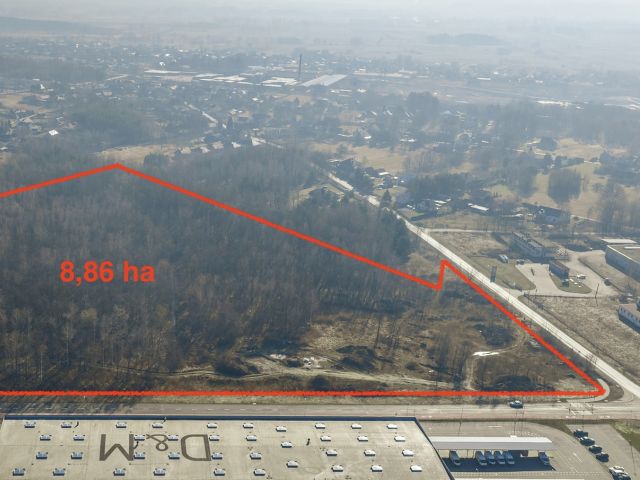 Oferta sprzedaży – teren pod produkcję i logistykę - Działka - Sprzedaż - Tarnobrzeski, Nowa Dęba / Chmielów