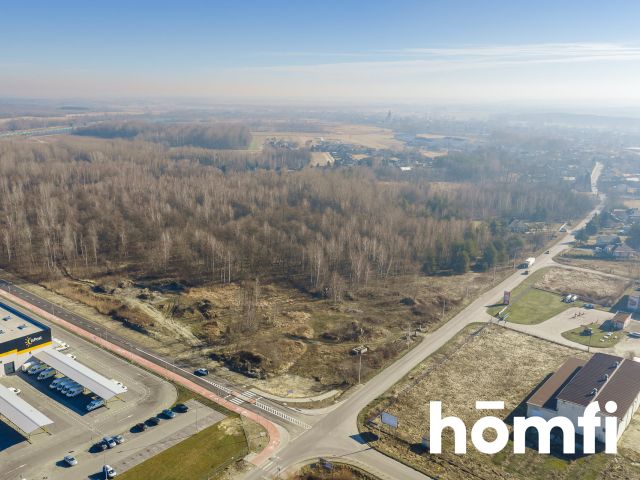 Oferta sprzedaży – teren pod produkcję i logistykę - Działka - Sprzedaż - Tarnobrzeski, Nowa Dęba / Chmielów