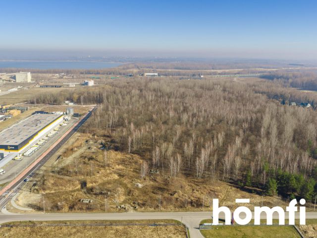 Oferta sprzedaży – teren pod produkcję i logistykę - Działka - Sprzedaż - Tarnobrzeski, Nowa Dęba / Chmielów