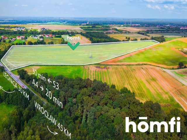 For sale the plot in Mazurowice 19 999 000 PLN - Plot - Sale - Średzki, Malczyce / Mazurowice