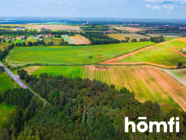 For sale the plot in Mazurowice 19 999 000 PLN - Plot - Sale - Średzki, Malczyce / Mazurowice