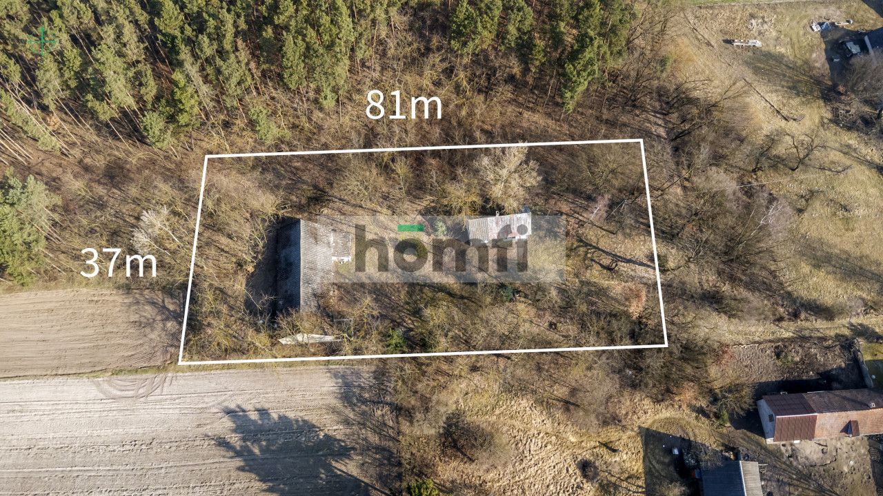 Agricultural-building plot next to a forest - Ділянка - Продаж - Jędrzejowski, Jędrzejów / Lścin