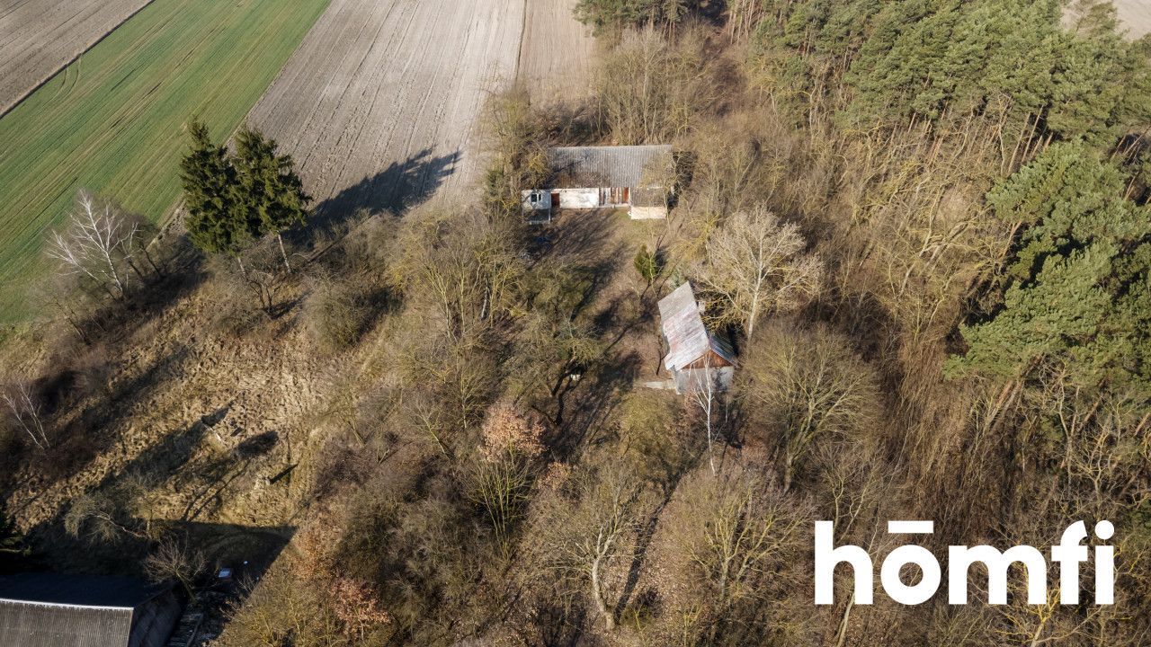 Agricultural-building plot next to a forest - Ділянка - Продаж - Jędrzejowski, Jędrzejów / Lścin