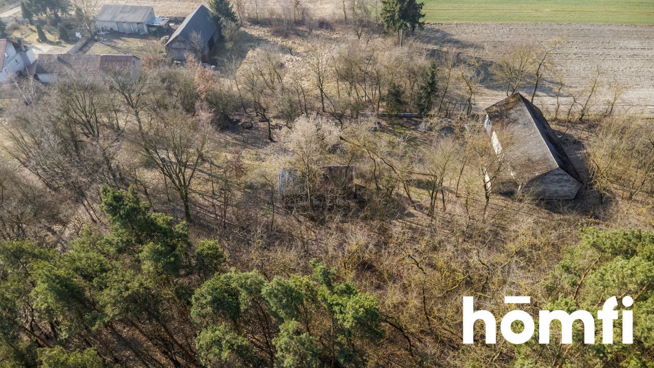 Agricultural-building plot next to a forest - Ділянка - Продаж - Jędrzejowski, Jędrzejów / Lścin