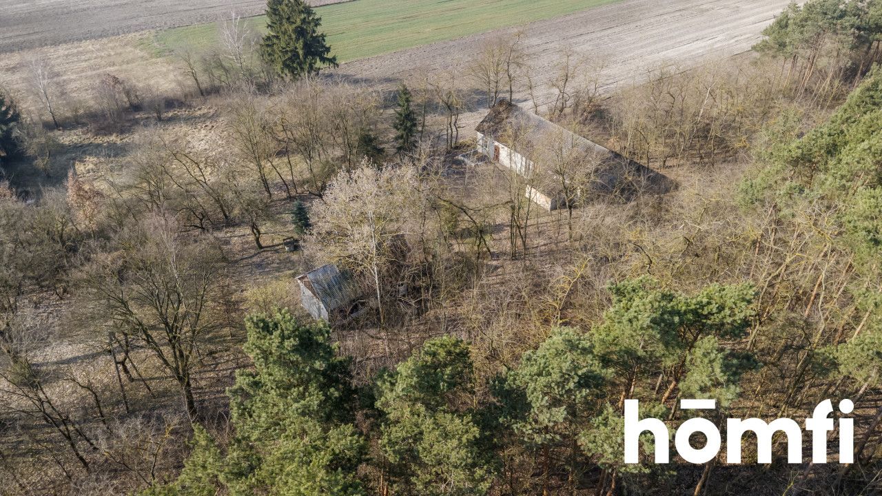 Agricultural-building plot next to a forest - Ділянка - Продаж - Jędrzejowski, Jędrzejów / Lścin