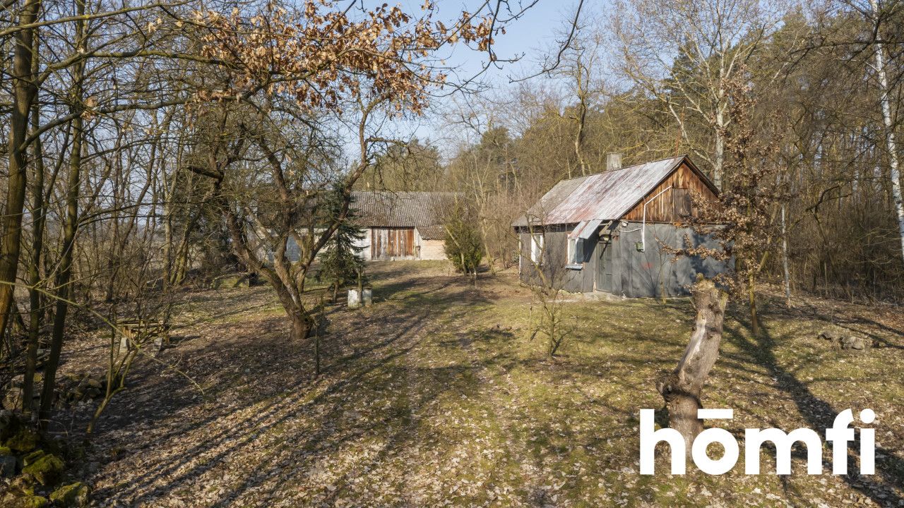 Agricultural-building plot next to a forest - Ділянка - Продаж - Jędrzejowski, Jędrzejów / Lścin