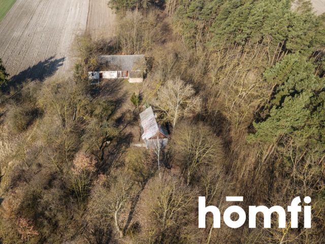 Działka rolno-budowlana przy lesie - Działka - Sprzedaż - Jędrzejowski, Jędrzejów / Lścin