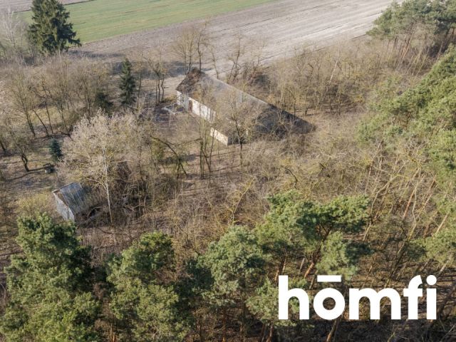 Działka rolno-budowlana przy lesie - Działka - Sprzedaż - Jędrzejowski, Jędrzejów / Lścin