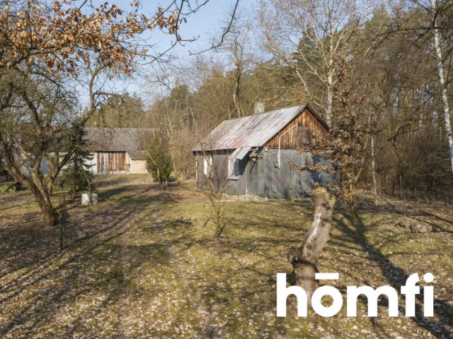 Działka rolno-budowlana przy lesie - Działka - Sprzedaż - Jędrzejowski, Jędrzejów / Lścin