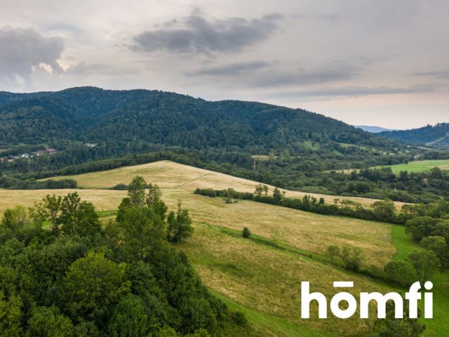 YOU WILL FALL IN LOVE! Plot with a view of Połoniny, 84 ha - Plot - Sale - Bieszczadzki, Lutowiska / Smolnik
