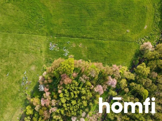 Atrakcyjna działka na sprzedaż – Wygonowo - Działka - Sprzedaż - Bielski, Boćki / Wygonowo