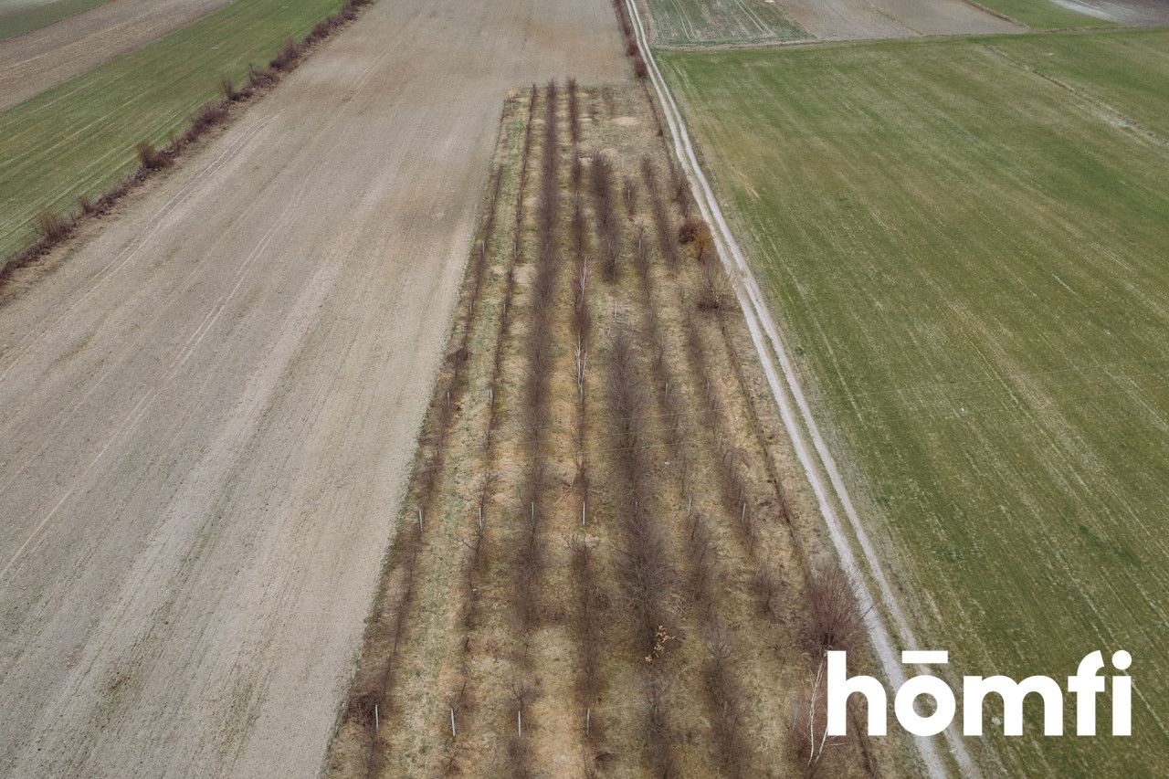 Building Plot for Sale – 3,002 m² | Borowina Starozamojska near Zamość - Ділянка - Продаж - Zamojski, Stary Zamość / Borowina