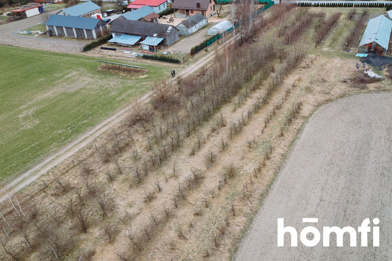 Building Plot for Sale – 3,002 m² | Borowina Starozamojska near Zamość - Ділянка - Продаж - Zamojski, Stary Zamość / Borowina