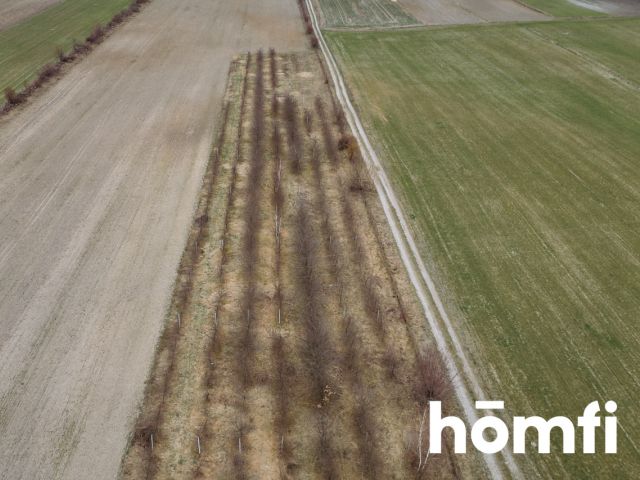 Działka Borowina Starozamojska 3002 m2 z WZ - Działka - Sprzedaż - Zamość