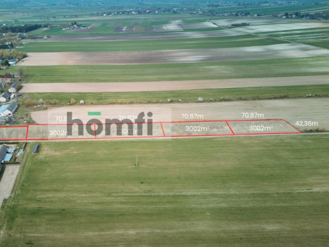 Działka Borowina Starozamojska 3000 m2 z WZ - Działka - Sprzedaż - Zamość