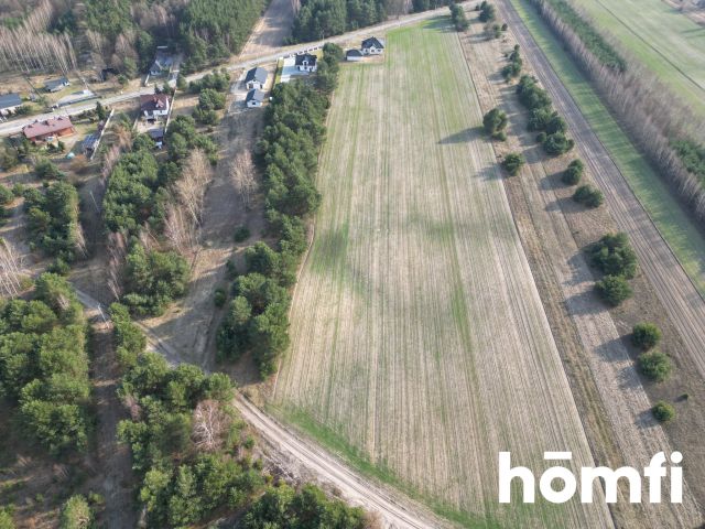 Great and good located plots near Zwoleń and Kazanów - Plot - Sale - Zwoleński, Kazanów / Kopiec