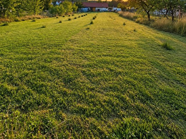 Building Plot 11.5 ares – Development Conditions – Werynia – Great Opportunity! - Plot - Sale - Kolbuszowski, Kolbuszowa / Werynia