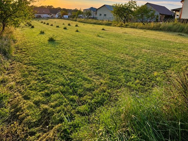 Building Plot 11.5 ares – Development Conditions – Werynia – Great Opportunity! - Plot - Sale - Kolbuszowski, Kolbuszowa / Werynia