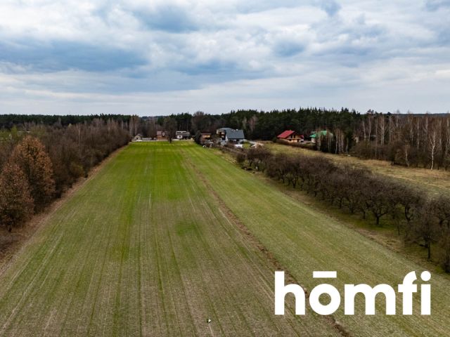 DZIAŁKA W BIERWIECKIEJ WOLI – PRZESTRZEŃ, NATURA I SZYBKI DOJAZD DO STOLICY - Działka - Sprzedaż - Radomski, Jedlińsk / Bierwiecka Wola