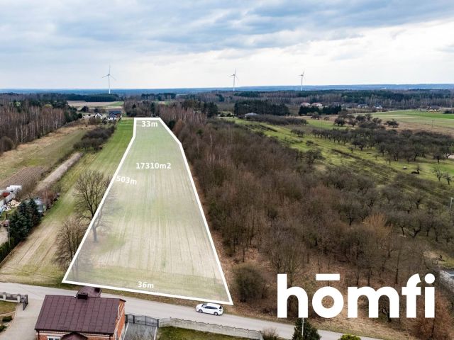 DZIAŁKA W BIERWIECKIEJ WOLI – PRZESTRZEŃ, NATURA I SZYBKI DOJAZD DO STOLICY - Działka - Sprzedaż - Radomski, Jedlińsk / Bierwiecka Wola