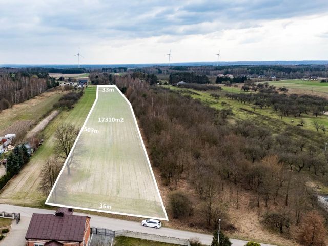 DZIAŁKA W BIERWIECKIEJ WOLI – PRZESTRZEŃ, NATURA I SZYBKI DOJAZD DO STOLICY - Działka - Sprzedaż - Radomski, Jedlińsk / Bierwiecka Wola
