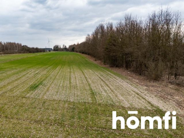 DZIAŁKA W BIERWIECKIEJ WOLI – PRZESTRZEŃ, NATURA I SZYBKI DOJAZD DO STOLICY - Działka - Sprzedaż - Radomski, Jedlińsk / Bierwiecka Wola