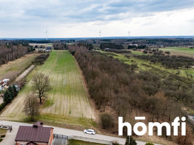 DZIAŁKA W BIERWIECKIEJ WOLI – PRZESTRZEŃ, NATURA I SZYBKI DOJAZD DO STOLICY - Działka - Sprzedaż - Radomski, Jedlińsk / Bierwiecka Wola