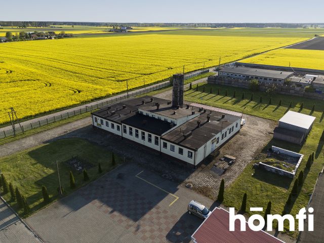 Industrial property - for sale/Strzelno - Commercial premises - Sale - Mogileński, Strzelno
