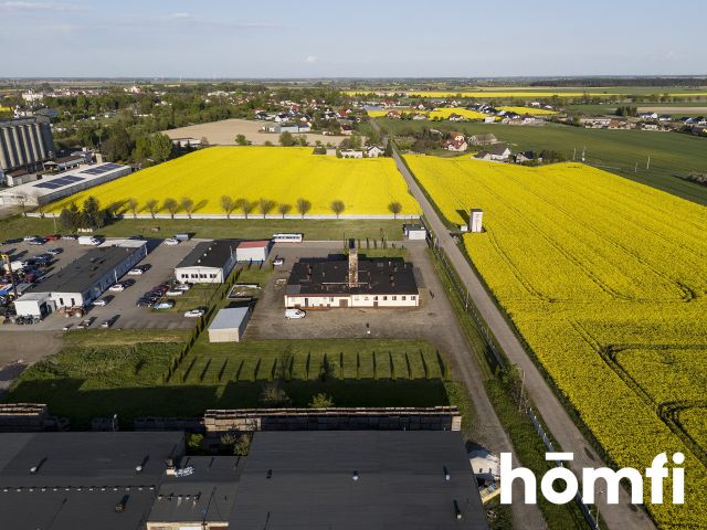 Industrial property - for sale/Strzelno - Commercial premises - Sale - Mogileński, Strzelno