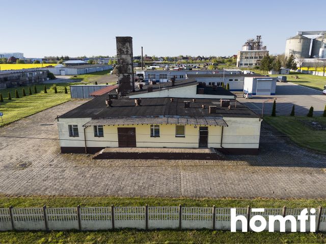 Industrial property - for sale/Strzelno - Commercial premises - Sale - Mogileński, Strzelno