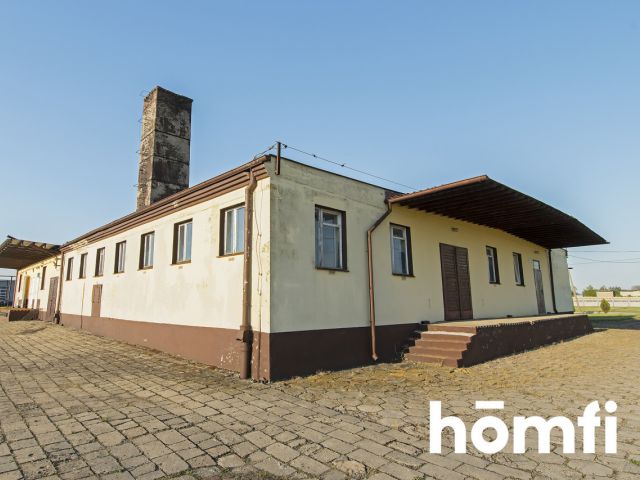 Industrial property - for sale/Strzelno - Commercial premises - Sale - Mogileński, Strzelno