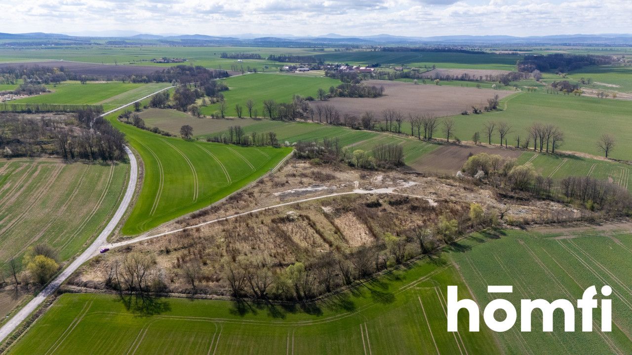 Działka przemysłowo-produkcyjna, blisko autostrady - Działka - Sprzedaż - Legnicki, Legnickie Pole / Mikołajowice