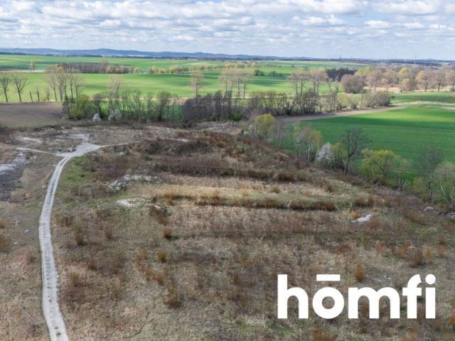 Industrial and production plot, close to the highway - Plot - Sale - Legnicki, Legnickie Pole / Mikołajowice