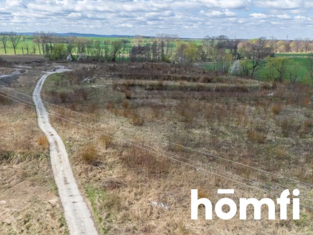 Industrial and production plot, close to the highway - Plot - Sale - Legnicki, Legnickie Pole / Mikołajowice