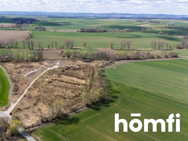 Industrial and production plot, close to the highway - Plot - Sale - Legnicki, Legnickie Pole / Mikołajowice