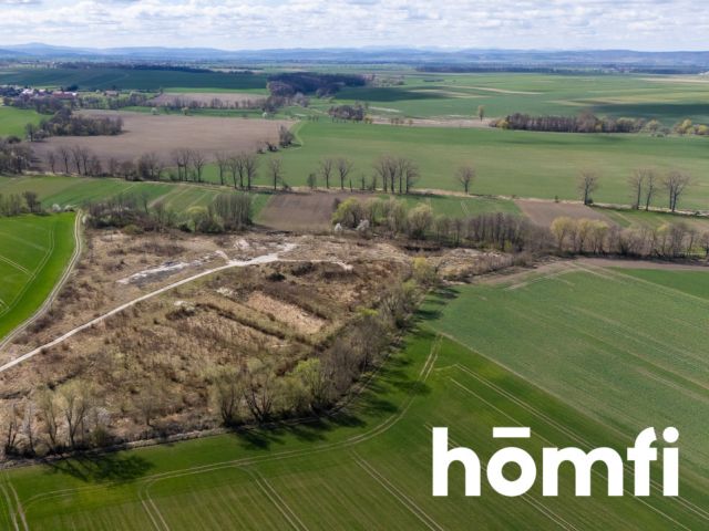 Industrial and production plot, close to the highway - Plot - Sale - Legnicki, Legnickie Pole / Mikołajowice